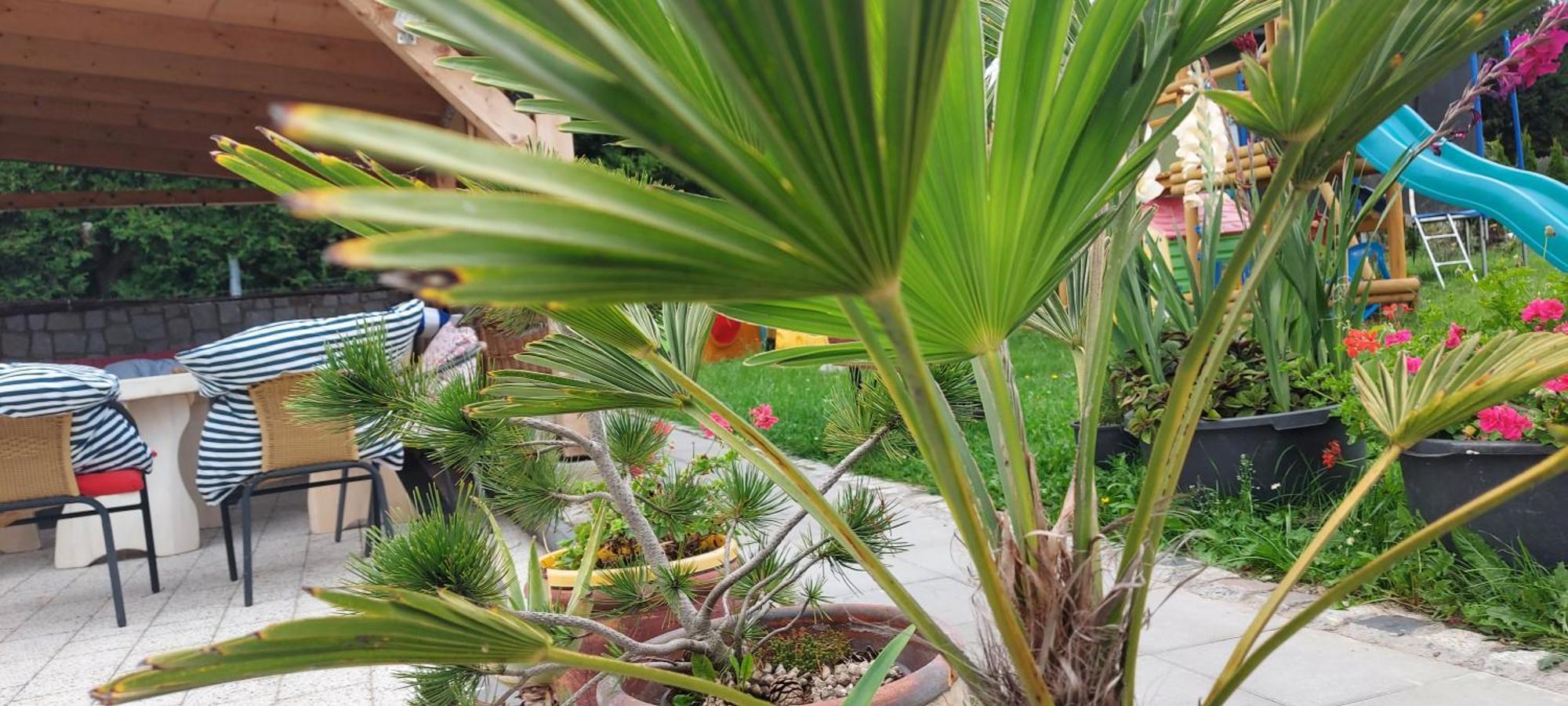 Pokoje Goscinne Jutrzenka Swarzewo Eksteriør bilde